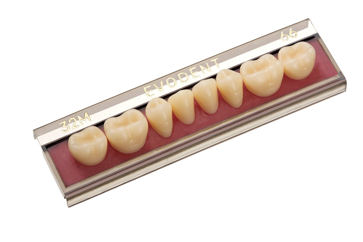 TABLILLA DE DIENTES EVODEN - COLOR: A2