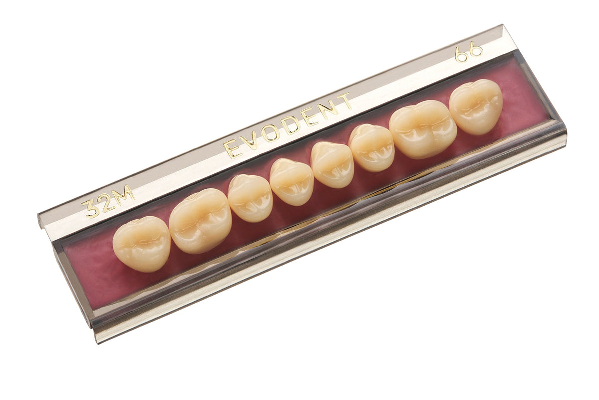 TABLILLA DE DIENTES EVODEN - COLOR: A3,5