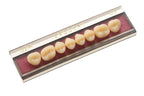 TABLILLA DE DIENTES EVODEN - COLOR: A1