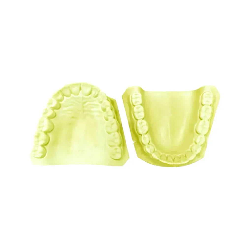 MODELO DE YESO SUP E INF DENTADO TOTAL PAR