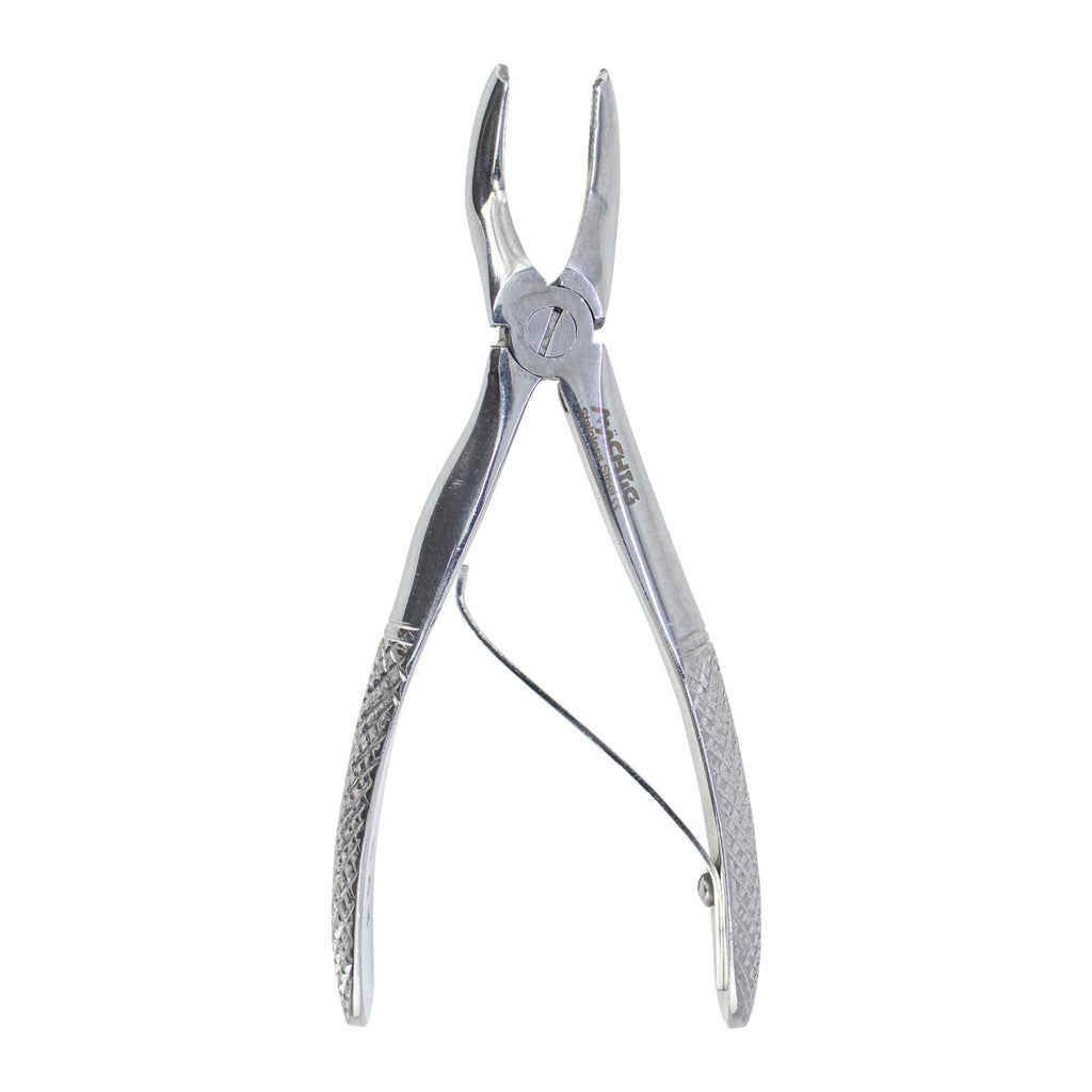 Molar Superior 563