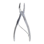 Molar Superior 563