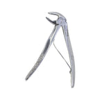 Molar Inferior 567