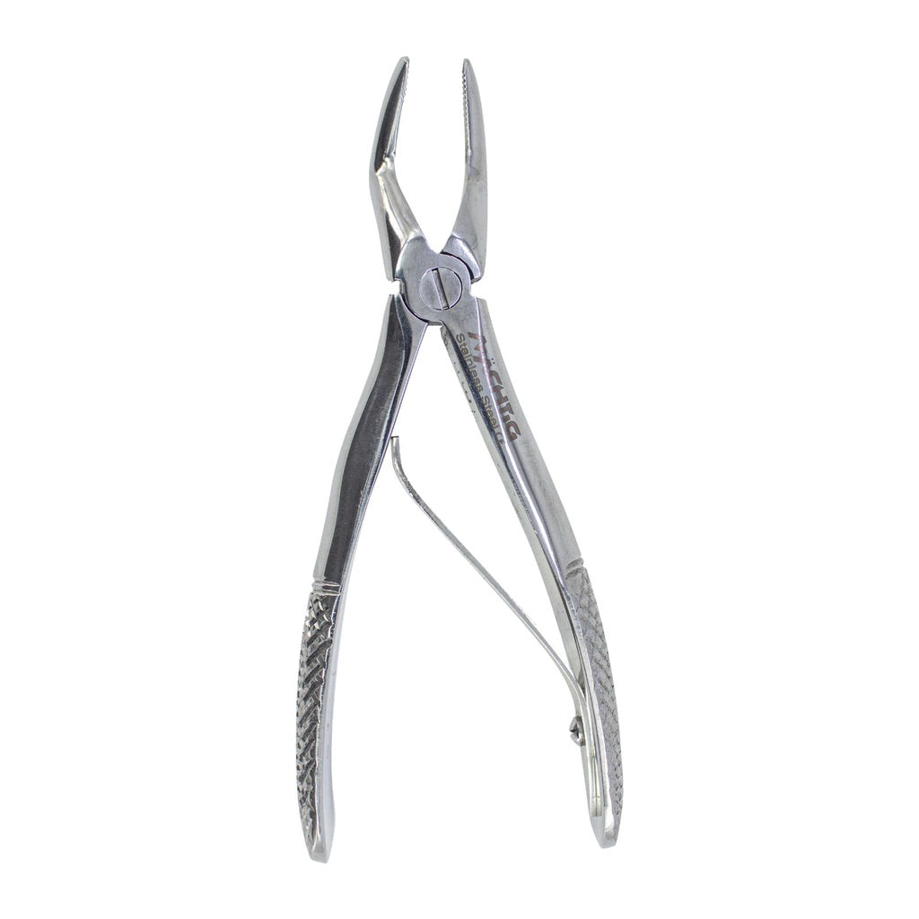 Raiz Superior 562