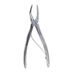 Raiz Superior 562