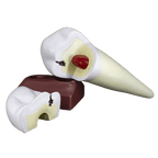 Macromodelo_Premolar_Magnético_Machtig-removebg-preview