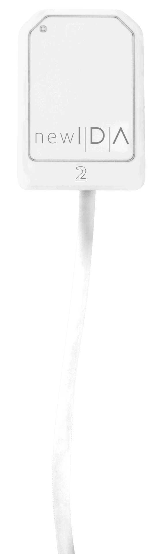 New-Ida—Tam-2