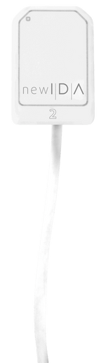 New-Ida—Tam-2