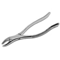 Forceps Adulto N°62
