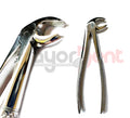 FORCEPS-PICO-LORO-X-GRUESO-(CURVO-SOBRE-EL-BORDE)-DENPHER