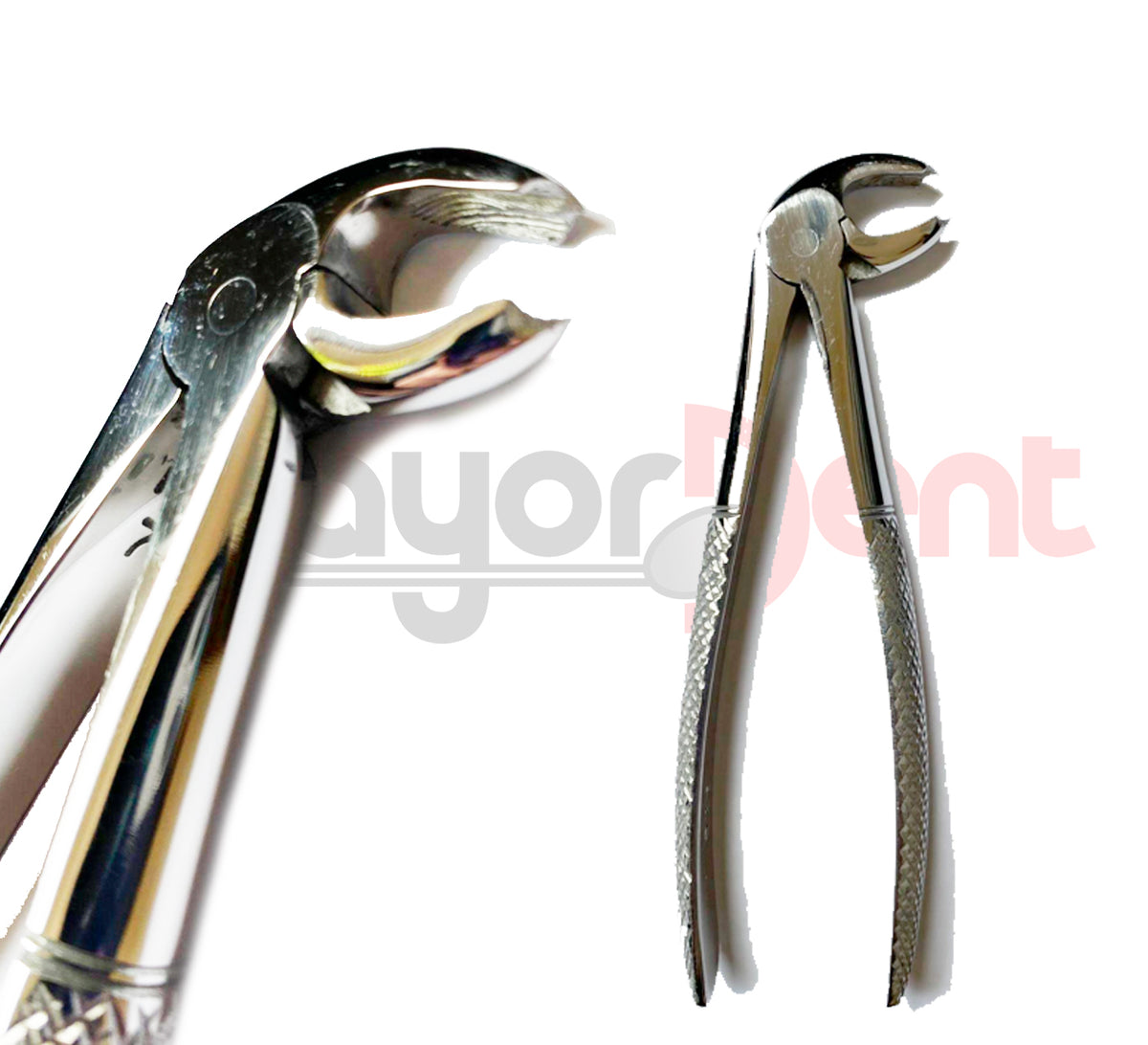 FORCEPS-PICO-LORO-X-GRUESO-(CURVO-SOBRE-EL-BORDE)-DENPHER
