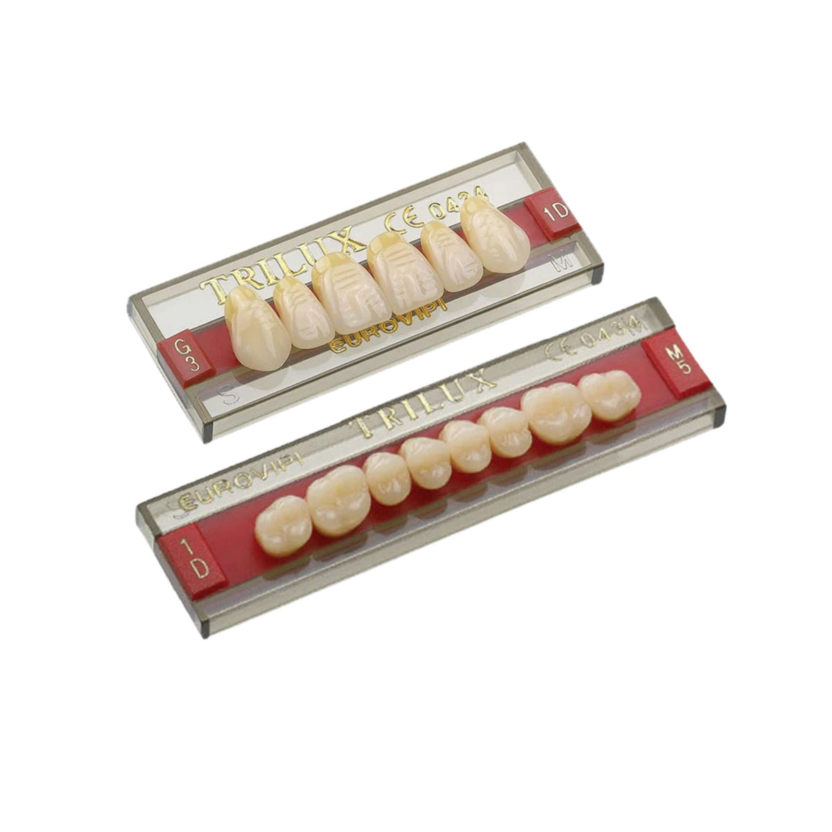 DIENTES TRILUX V ANT INF L5I, C2